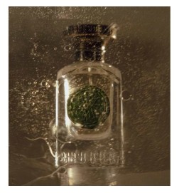 Hybrid Gaya Green 75 ml - Anfas Free shipping and advice!