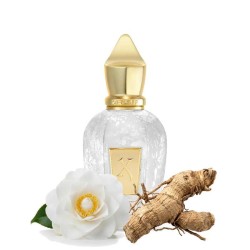 Apollonia 50 ml - Xerjoff