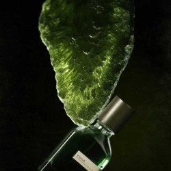 Virridique 50 ml - Orto Paris Consultation gratuite et expédition!