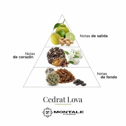 Cedrat Lova 100 ml - Montale Paris