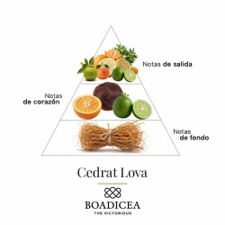 Energizer 100 ml - Boadicea The Victorious