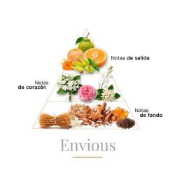 Envious 100 ml - Boadicea The Victorious