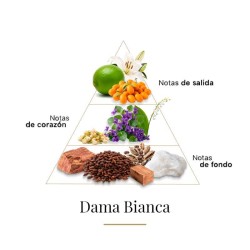Dama Bianca - Casamorati