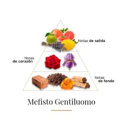 Mefisto Gentiluomo - Casamorati