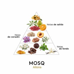 Aitona - MOSQ