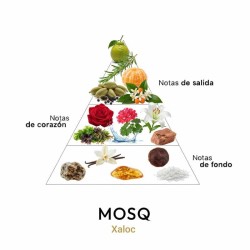 Xaloc - MOSQ