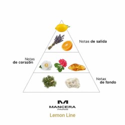 Lemon Line - Mancera Paris