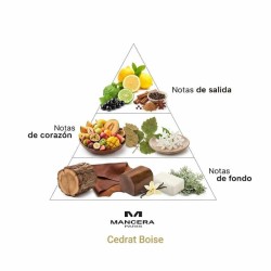 Cedrat Boise - Mancera Paris