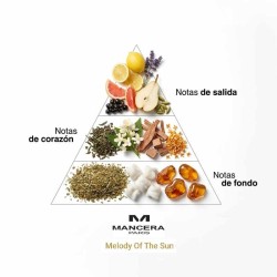 Melody Of The Sun - Mancera Paris