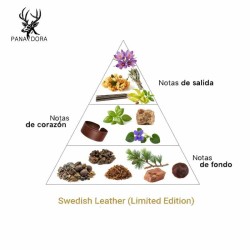 Swedish Leather (Limited Edition) - Pana Dora Sweden