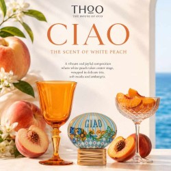CIAO - La maison de Oud Consulting gratuit et expédition!