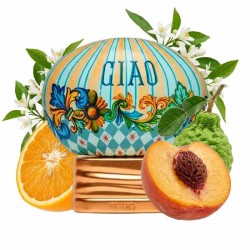 CIAO - La maison de Oud Consulting gratuit et expédition!