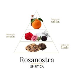 Rosanostra - Spiritica