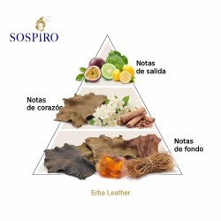 Erba Leather 100 ml - Sospiro