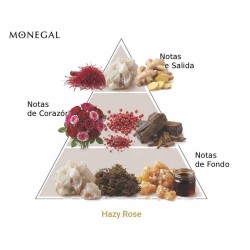 Hazy Rose EDP 100 ml - Ramon Monegal