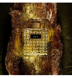 Oud or EDP 100 ml - Houbigant Paris