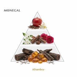 Alhambra Oud Extrait de Parfum - Ramon Monegal