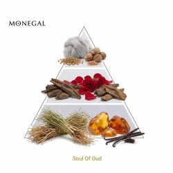 Soul Of Oud Extrait de Parfum - Ramon Monegal