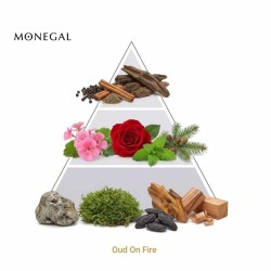 Oud On Fire Extrait de Parfum 50 ml - Ramon Monegal