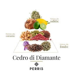 Cedro Di Diamante - Perris Monte Carlo
