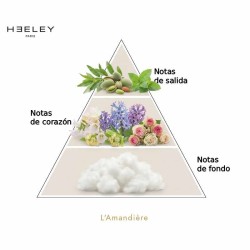 L'Amandière - James Heeley Consulting gratuit et expédition!