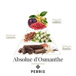 Absolute d'Osmanthe - Perris Monte Carlo Avis et Livraison Gratuite!