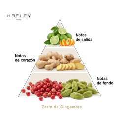 Zeste de Gingembre - James Heeley