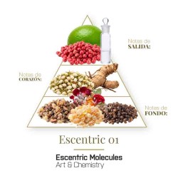 Escentric 01 - Escentric Molecules