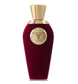 V Canto - Mandragola Extrait Parfum 100 ml Livraison gratuite!