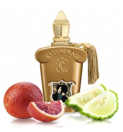 Casamorati - LIRA EDP Livraison gratuite!