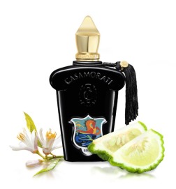 Casamorati - Regio Free Shipping!