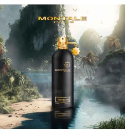 Oud Island 100 ml - Montale Paris