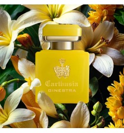 PARFUME INTENSE DI GINESTRA 50 ml - Carthusia | Parfumerie Laura - Livraison Gratuite