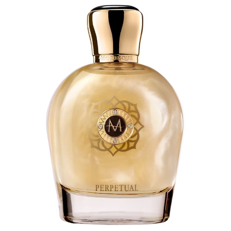 Perpetual EDP 100 ml - Moresque | Parfumerie Laura - Livraison Gratuite