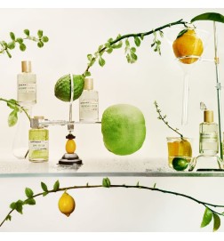 Safran Mandarin - Liquides Imaginaires Conseils gratuits et envois!