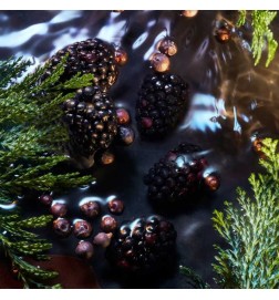 Elysium Noir - Red Advisory and free shipping!