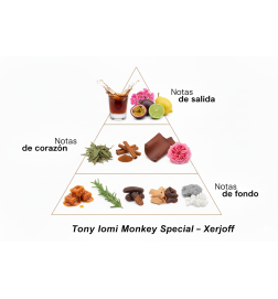 Tony Iommi Monkey Special - Xerjoff Free advice and shipments!