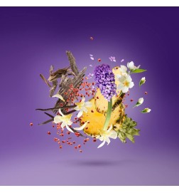 Accent violet 100 ml - Xerjoff Conseils gratuits et envois!