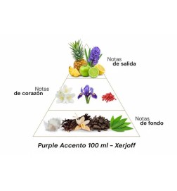 Purple Accento 100 ml - Xerjoff ¡Asesoría y Envíos Gratis!