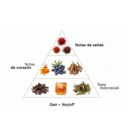 Gao - Xerjoff Free advice and shipments!