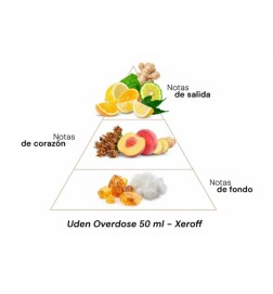 Uden Overdose - Xerjoff Free advice and shipments!