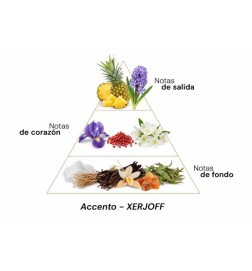 Accelemento - Xerjoff Free advice and shipments!