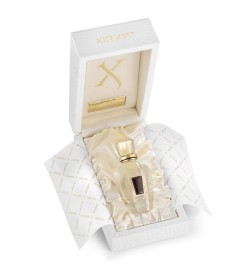 Damarose - Xerjoff Free advice and shipments!