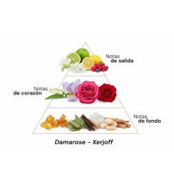 Damarose - Xerjoff Free advice and shipments!