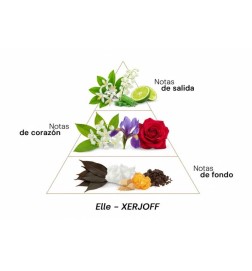 ELLE - Xerjoff Free advice and shipments!