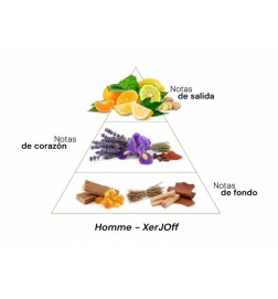 Homme - Xerjoff Conseils gratuits et envois!