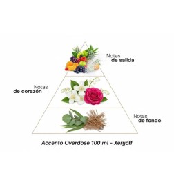 Accelement Overdose 100 ml - Xerjoff