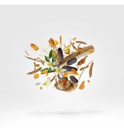 Kobe - Xerjoff Free advice and shipments!