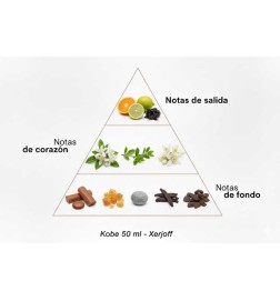 Kobe - Xerjoff ¡Asesoría y Envíos Gratis!