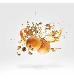 South Cross I - Xerjoff Free advice and shipments!